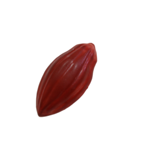 Cacao pod praline